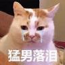imx365.net